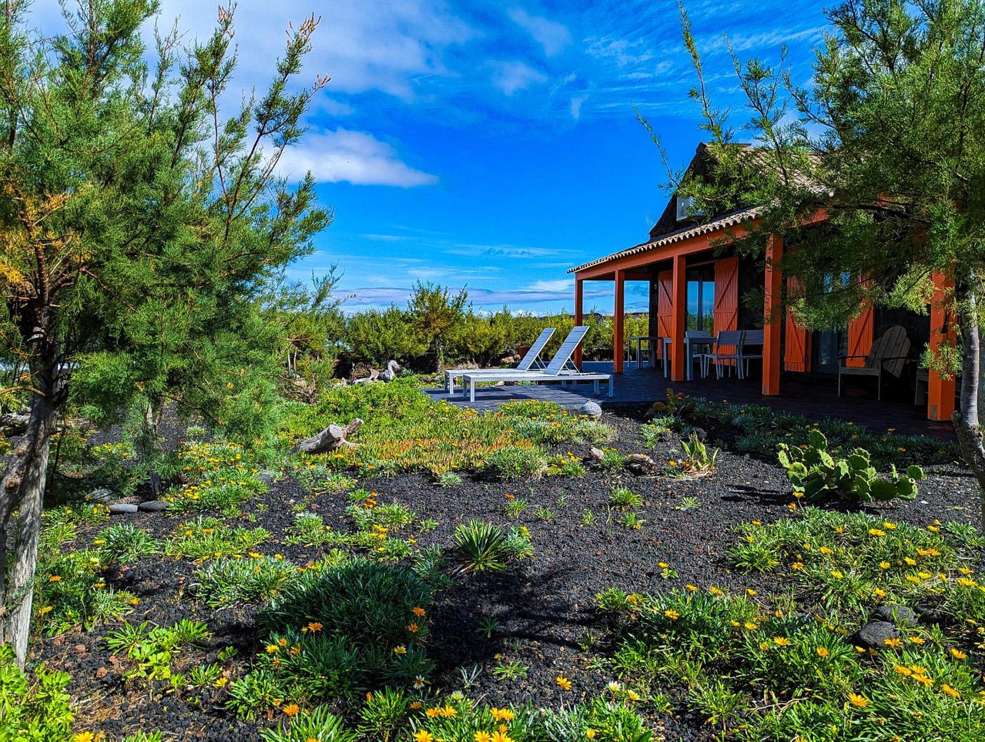 Casa Baleia Laranja Ocean-Front Villa Madalena  Exteriör bild