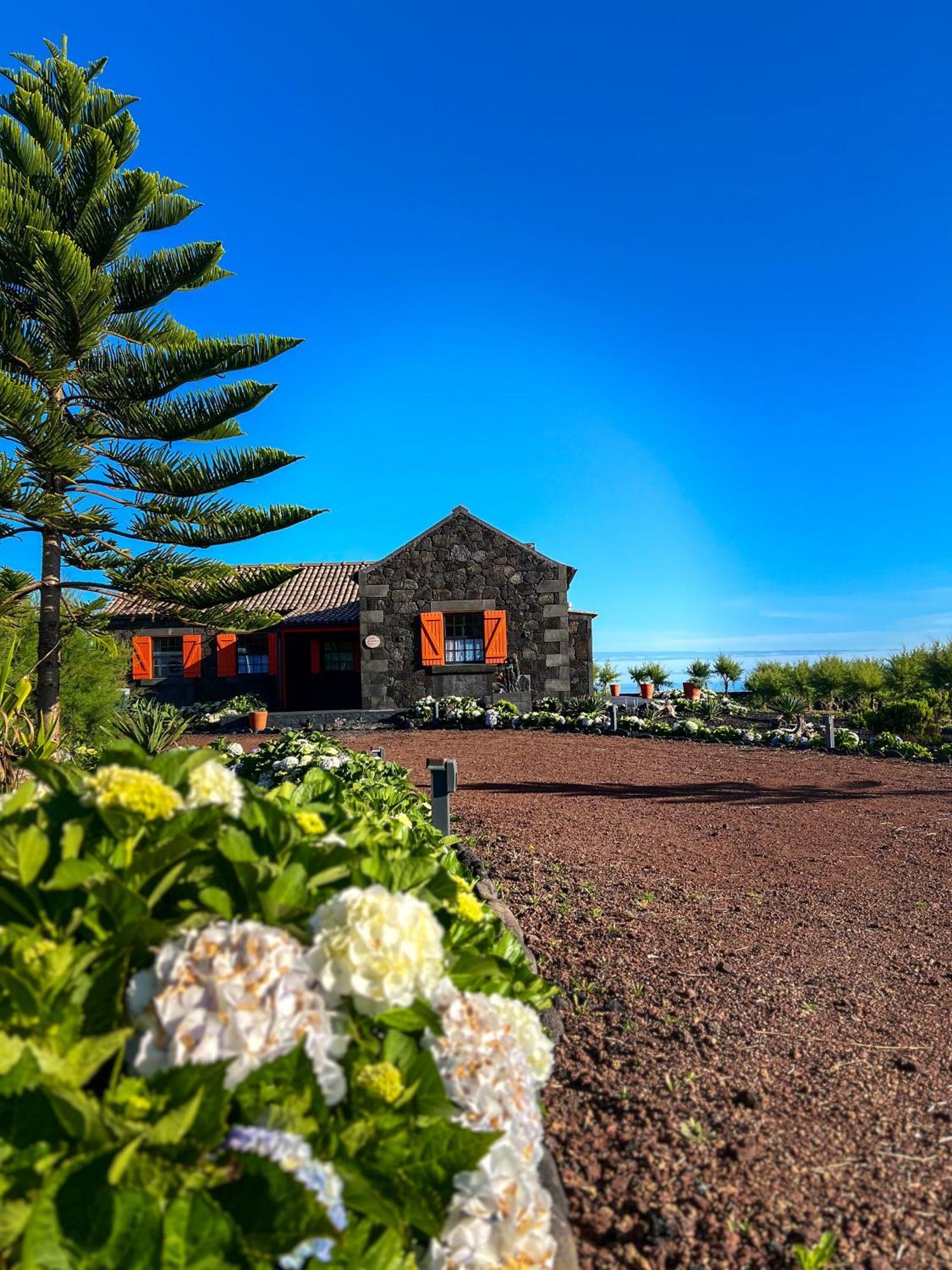 Casa Baleia Laranja Ocean-Front Villa Madalena  Exteriör bild